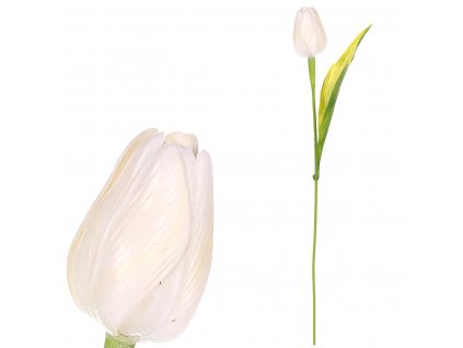 17229 tulipan plastovy v kremove barve cena za 1ks ve svazku 12ks sg60104 wt