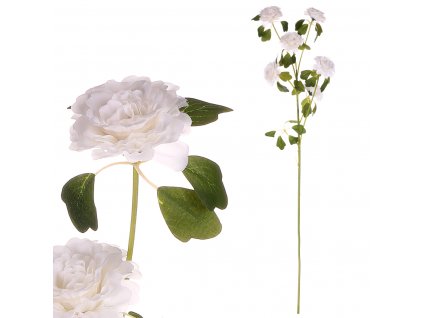 25176 kvetina s bilymi kvety zakula japonska cena za 1ks ve svazku 6ks kuy067 wt
