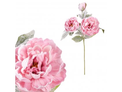 37378 pivonka 3 kvety ruzova barva kuc2609 pink