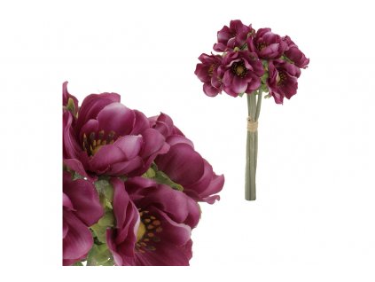 3906 puget 6 anemonek barva svetle fialkova kum3414 viol