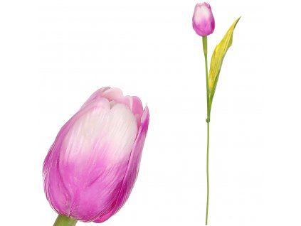 5313 tulipan plastovy ve fialove barve sg60104 pur