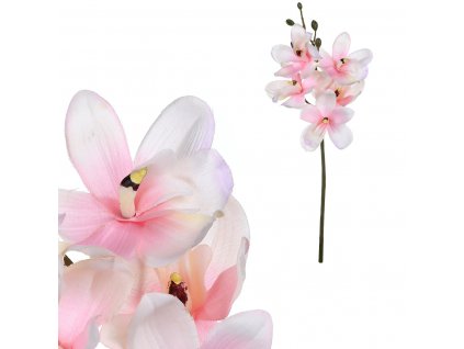 5787 magnolie ruzova barva ukk056 pink