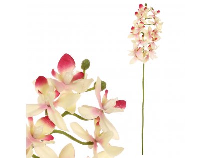 5880 1 orchidea drobnokveta zluto ruzova barva ukk313 pink