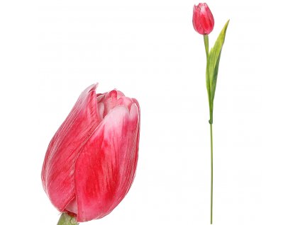 8241 tulipan plastovy v cervene barve cena za 1ks sg60104 red
