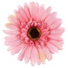 7566 1 gerbera barva ruzova kvetina umela vazbova cena za baleni 12 kusu kum3421 pink