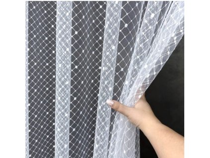 Snímek obrazovky 2026 03 10 063009