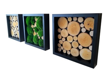 Obrazy 3 rámečky mech dřevo 25x25cm různé barvy (1)