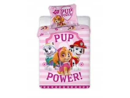 paw patrol