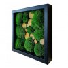 Živý obraz mech dřevo 25x25cm různé rámky (2)