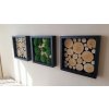 Obrazy 3 rámečky mech dřevo 25x25cm různé barvy (4)