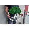 Obraz strom s mechem 60cm zelený (3)