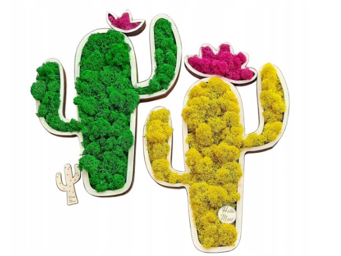 Živý obraz kaktus 60cm různé barvy