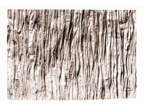 Koberec kusový nature 4D béžový Rock (Rozměr 160x230cm)
