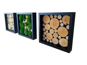 Obrazy 3 rámečky mech dřevo 25x25cm různé barvy (2)
