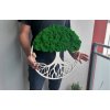 Obraz strom s mechem 40cm zelený (3)