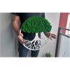 Obraz strom s mechem 50cm zelený (4)