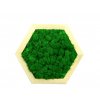 Obraz šestiúhelník s mechem průměr 25cm zelený (2)