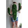 Živý obraz kaktus 60cm různé barvy6
