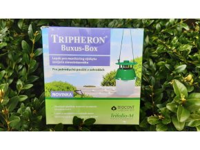 tripheron buxus 1