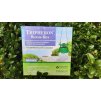 tripheron buxus 1