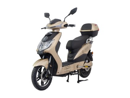 Elektroskútr RACCEWAY® E-FICHTL®, sv.zlatý-matný s baterií 12Ah