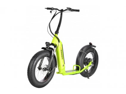 X-scooters XT08 48V Li