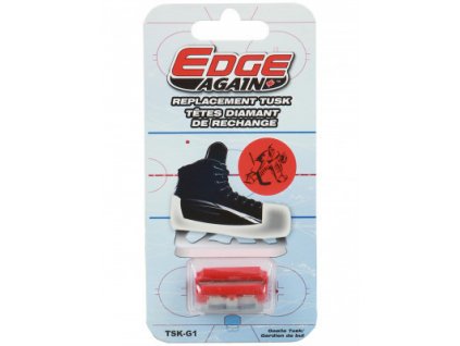 edge again goalie desicky p