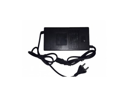 nabijecka 48v pro elektro buggy