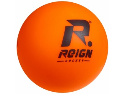 120019 reign hockey ball 2019 view1