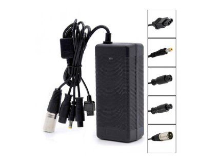 multifunkcni nabijecka 48v 2a s dc a gx konektory