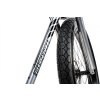 Elektrokolo BIGGIE s motorem BOSCH active-line 300 WH (EU) - delirium silver