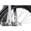 Elektrokolo BIGGIE s motorem BOSCH active-line 300 WH (EU) - delirium silver