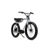 Elektrokolo BIGGIE s motorem BOSCH active-line 300 WH (EU) - delirium silver