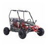 Čtyřkolka Buggy XTR 125cc ASIX Motors (Barva šedo-černá)