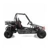 Čtyřkolka Buggy XTR 200cc ASIX Motors (Barva Zeleno-černá)