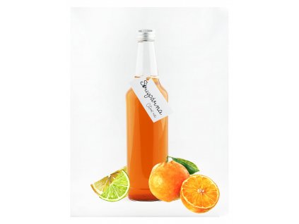 Rakytník & pomeranč sirup 1000ml (Sirupárna)