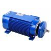 MSC 63 2-2 (3kW 2820ot/min) 400V Pílový elektromotor