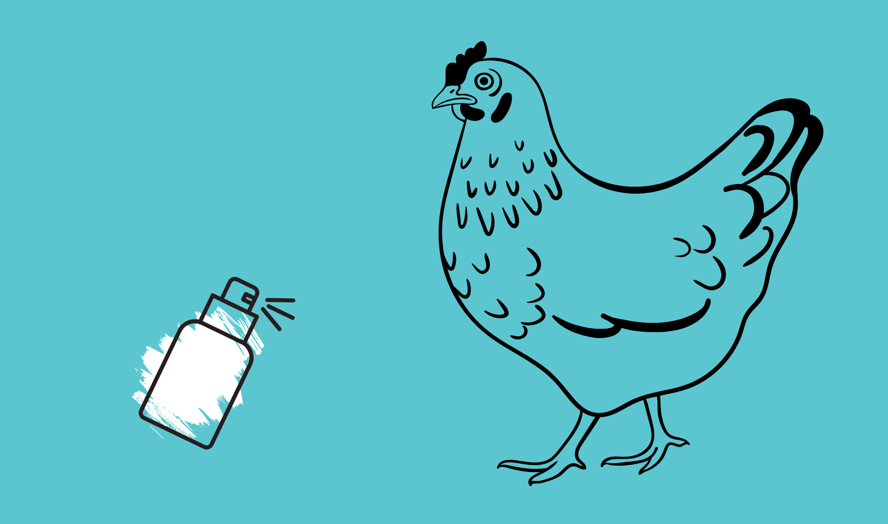 Ptačí chřipka opět v Česku