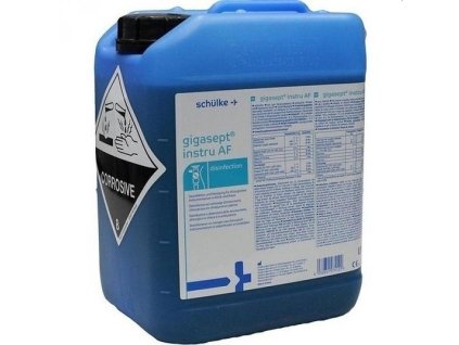 vyr 350 Gigasept Instru 5l main