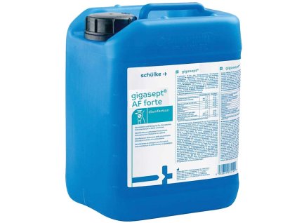 vyr 381 Gigasept AF forte 5 main