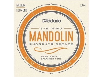 main 304e027b[1]
