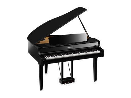 CLP 895GP a 0001 159d699f90899c1c14619eddebfbc7e2[1]