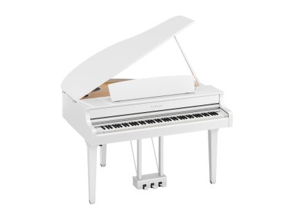 CLP 895GPWH a 0001 5bcbd54285f7c2c036f8e24cfeb8f468[1]