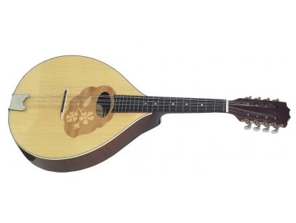Mandola Pro Arte Vysoký lesk GEWA