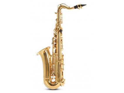 saxofon dětský Es Alt ROY BENSON Student