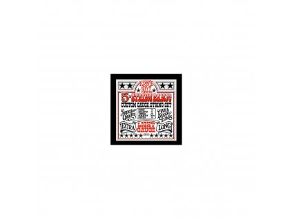 ERNIE BALL Sada strun banjo 5str. loop ends 9/20w>