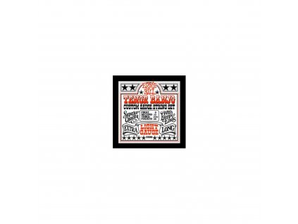 ERNIE BALL Sada strun banjo tenor loop ends 9/28