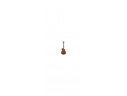 Kytara akustická el.ak. IBANEZ AEG8EMH OPN