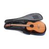 GEWA Ukulele Baryton Manoa Kaleo sapelli mat