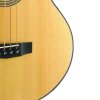 cort acoustic bass sjb5f basses guitar feature 2[1]